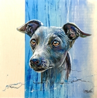 2424 BOIS CN BLUE LÉVRIER BAMBOU BLEU.jpg