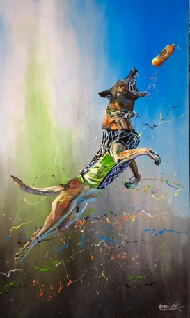 3660 CN VL OSSO MALINOIS CLASSIC BLEU NOIR 5C.JPG