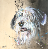 2424 BOIS CN SHERLOCK BERGER ANGLAIS NOIR.heic